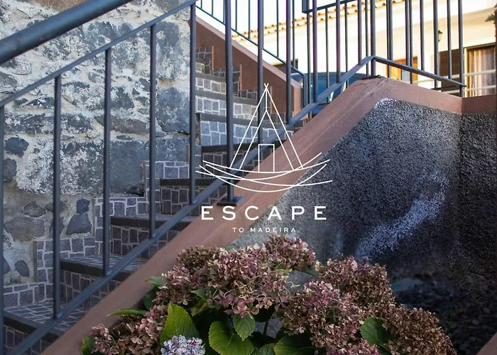 Faias House By Escape To Madeira Ribeira do Raposo